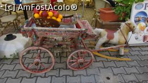 [P04] Nicosia turcească e plină de culoare și parfum » foto by crismis
 - 
<span class="allrVoted glyphicon glyphicon-heart hidden" id="av721685"></span>
<a class="m-l-10 hidden" id="sv721685" onclick="voting_Foto_DelVot(,721685,10592)" role="button">șterge vot <span class="glyphicon glyphicon-remove"></span></a>
<a id="v9721685" class=" c-red"  onclick="voting_Foto_SetVot(721685)" role="button"><span class="glyphicon glyphicon-heart-empty"></span> <b>LIKE</b> = Votează poza</a> <img class="hidden"  id="f721685W9" src="/imagini/loader.gif" border="0" /><span class="AjErrMes hidden" id="e721685ErM"></span>