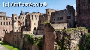 [P24] Castelul din Heidelberg » foto by makuy*
 - 
<span class="allrVoted glyphicon glyphicon-heart hidden" id="av1103933"></span>
<a class="m-l-10 hidden" id="sv1103933" onclick="voting_Foto_DelVot(,1103933,10598)" role="button">șterge vot <span class="glyphicon glyphicon-remove"></span></a>
<a id="v91103933" class=" c-red"  onclick="voting_Foto_SetVot(1103933)" role="button"><span class="glyphicon glyphicon-heart-empty"></span> <b>LIKE</b> = Votează poza</a> <img class="hidden"  id="f1103933W9" src="/imagini/loader.gif" border="0" /><span class="AjErrMes hidden" id="e1103933ErM"></span>