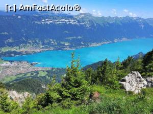 [P24] Lacul Brienz văzut de sus de pe munte » foto by BOGDAN DSN
 - 
<span class="allrVoted glyphicon glyphicon-heart hidden" id="av1347535"></span>
<a class="m-l-10 hidden" id="sv1347535" onclick="voting_Foto_DelVot(,1347535,10615)" role="button">șterge vot <span class="glyphicon glyphicon-remove"></span></a>
<a id="v91347535" class=" c-red"  onclick="voting_Foto_SetVot(1347535)" role="button"><span class="glyphicon glyphicon-heart-empty"></span> <b>LIKE</b> = Votează poza</a> <img class="hidden"  id="f1347535W9" src="/imagini/loader.gif" border="0" /><span class="AjErrMes hidden" id="e1347535ErM"></span>