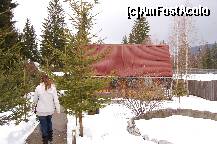 [P11] Zona pentru camping cu casutele din lemn si casutele de doua persoane. » foto by cristi46
 - 
<span class="allrVoted glyphicon glyphicon-heart hidden" id="av277033"></span>
<a class="m-l-10 hidden" id="sv277033" onclick="voting_Foto_DelVot(,277033,10617)" role="button">șterge vot <span class="glyphicon glyphicon-remove"></span></a>
<a id="v9277033" class=" c-red"  onclick="voting_Foto_SetVot(277033)" role="button"><span class="glyphicon glyphicon-heart-empty"></span> <b>LIKE</b> = Votează poza</a> <img class="hidden"  id="f277033W9" src="/imagini/loader.gif" border="0" /><span class="AjErrMes hidden" id="e277033ErM"></span>