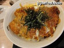 [P29] S-un felul doi intr-un restaurant din gara Shin-Osaka » foto by dananecula*
 - 
<span class="allrVoted glyphicon glyphicon-heart hidden" id="av276725"></span>
<a class="m-l-10 hidden" id="sv276725" onclick="voting_Foto_DelVot(,276725,10622)" role="button">șterge vot <span class="glyphicon glyphicon-remove"></span></a>
<a id="v9276725" class=" c-red"  onclick="voting_Foto_SetVot(276725)" role="button"><span class="glyphicon glyphicon-heart-empty"></span> <b>LIKE</b> = Votează poza</a> <img class="hidden"  id="f276725W9" src="/imagini/loader.gif" border="0" /><span class="AjErrMes hidden" id="e276725ErM"></span>
