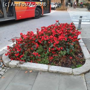 [P52] Bergamo, Città Alta, cu flori de sfârșit de octombrie » foto by mprofeanu
 - 
<span class="allrVoted glyphicon glyphicon-heart hidden" id="av1462820"></span>
<a class="m-l-10 hidden" id="sv1462820" onclick="voting_Foto_DelVot(,1462820,10639)" role="button">șterge vot <span class="glyphicon glyphicon-remove"></span></a>
<a id="v91462820" class=" c-red"  onclick="voting_Foto_SetVot(1462820)" role="button"><span class="glyphicon glyphicon-heart-empty"></span> <b>LIKE</b> = Votează poza</a> <img class="hidden"  id="f1462820W9" src="/imagini/loader.gif" border="0" /><span class="AjErrMes hidden" id="e1462820ErM"></span>