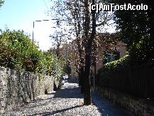 [P22] Strada ingusta din Bergamo vechi catre Vigilio » foto by Cristina67
 - 
<span class="allrVoted glyphicon glyphicon-heart hidden" id="av277834"></span>
<a class="m-l-10 hidden" id="sv277834" onclick="voting_Foto_DelVot(,277834,10639)" role="button">șterge vot <span class="glyphicon glyphicon-remove"></span></a>
<a id="v9277834" class=" c-red"  onclick="voting_Foto_SetVot(277834)" role="button"><span class="glyphicon glyphicon-heart-empty"></span> <b>LIKE</b> = Votează poza</a> <img class="hidden"  id="f277834W9" src="/imagini/loader.gif" border="0" /><span class="AjErrMes hidden" id="e277834ErM"></span>
