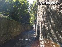 [P05] Bergamo, aleea pietruita care urca in orasul vechi » foto by Cristina67
 - 
<span class="allrVoted glyphicon glyphicon-heart hidden" id="av277817"></span>
<a class="m-l-10 hidden" id="sv277817" onclick="voting_Foto_DelVot(,277817,10639)" role="button">șterge vot <span class="glyphicon glyphicon-remove"></span></a>
<a id="v9277817" class=" c-red"  onclick="voting_Foto_SetVot(277817)" role="button"><span class="glyphicon glyphicon-heart-empty"></span> <b>LIKE</b> = Votează poza</a> <img class="hidden"  id="f277817W9" src="/imagini/loader.gif" border="0" /><span class="AjErrMes hidden" id="e277817ErM"></span>
