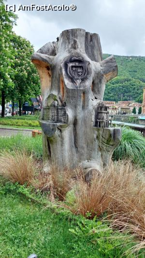 [P16] Cedrul secular din părculețul de vizavi de hotel » foto by Carmen Ion
 - 
<span class="allrVoted glyphicon glyphicon-heart hidden" id="av1377203"></span>
<a class="m-l-10 hidden" id="sv1377203" onclick="voting_Foto_DelVot(,1377203,10639)" role="button">șterge vot <span class="glyphicon glyphicon-remove"></span></a>
<a id="v91377203" class=" c-red"  onclick="voting_Foto_SetVot(1377203)" role="button"><span class="glyphicon glyphicon-heart-empty"></span> <b>LIKE</b> = Votează poza</a> <img class="hidden"  id="f1377203W9" src="/imagini/loader.gif" border="0" /><span class="AjErrMes hidden" id="e1377203ErM"></span>
