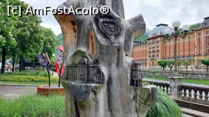 [P17] Cedrul secular din părculețul de vizavi de hotel » foto by Carmen Ion
 - 
<span class="allrVoted glyphicon glyphicon-heart hidden" id="av1377204"></span>
<a class="m-l-10 hidden" id="sv1377204" onclick="voting_Foto_DelVot(,1377204,10639)" role="button">șterge vot <span class="glyphicon glyphicon-remove"></span></a>
<a id="v91377204" class=" c-red"  onclick="voting_Foto_SetVot(1377204)" role="button"><span class="glyphicon glyphicon-heart-empty"></span> <b>LIKE</b> = Votează poza</a> <img class="hidden"  id="f1377204W9" src="/imagini/loader.gif" border="0" /><span class="AjErrMes hidden" id="e1377204ErM"></span>