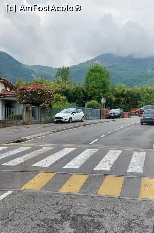 [P10] Albino fotografiat din autobuz » foto by Carmen Ion
 - 
<span class="allrVoted glyphicon glyphicon-heart hidden" id="av1377560"></span>
<a class="m-l-10 hidden" id="sv1377560" onclick="voting_Foto_DelVot(,1377560,10639)" role="button">șterge vot <span class="glyphicon glyphicon-remove"></span></a>
<a id="v91377560" class=" c-red"  onclick="voting_Foto_SetVot(1377560)" role="button"><span class="glyphicon glyphicon-heart-empty"></span> <b>LIKE</b> = Votează poza</a> <img class="hidden"  id="f1377560W9" src="/imagini/loader.gif" border="0" /><span class="AjErrMes hidden" id="e1377560ErM"></span>