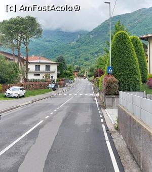 [P11] Albino fotografiat din autobuz » foto by Carmen Ion
 - 
<span class="allrVoted glyphicon glyphicon-heart hidden" id="av1377561"></span>
<a class="m-l-10 hidden" id="sv1377561" onclick="voting_Foto_DelVot(,1377561,10639)" role="button">șterge vot <span class="glyphicon glyphicon-remove"></span></a>
<a id="v91377561" class=" c-red"  onclick="voting_Foto_SetVot(1377561)" role="button"><span class="glyphicon glyphicon-heart-empty"></span> <b>LIKE</b> = Votează poza</a> <img class="hidden"  id="f1377561W9" src="/imagini/loader.gif" border="0" /><span class="AjErrMes hidden" id="e1377561ErM"></span>