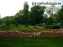 [P42] “De ce iubim România”?...Parcul Cişmigiu din Bucureşti » foto by magdalena
 - 
<span class="allrVoted glyphicon glyphicon-heart hidden" id="av278746"></span>
<a class="m-l-10 hidden" id="sv278746" onclick="voting_Foto_DelVot(,278746,10662)" role="button">șterge vot <span class="glyphicon glyphicon-remove"></span></a>
<a id="v9278746" class=" c-red"  onclick="voting_Foto_SetVot(278746)" role="button"><span class="glyphicon glyphicon-heart-empty"></span> <b>LIKE</b> = Votează poza</a> <img class="hidden"  id="f278746W9" src="/imagini/loader.gif" border="0" /><span class="AjErrMes hidden" id="e278746ErM"></span>