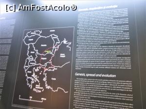 [P22] Cultura Gumelniţa- itinerantă la muzeul Şuţu Bucureşti » foto by Michi
 - 
<span class="allrVoted glyphicon glyphicon-heart hidden" id="av1371376"></span>
<a class="m-l-10 hidden" id="sv1371376" onclick="voting_Foto_DelVot(,1371376,10662)" role="button">șterge vot <span class="glyphicon glyphicon-remove"></span></a>
<a id="v91371376" class=" c-red"  onclick="voting_Foto_SetVot(1371376)" role="button"><span class="glyphicon glyphicon-heart-empty"></span> <b>LIKE</b> = Votează poza</a> <img class="hidden"  id="f1371376W9" src="/imagini/loader.gif" border="0" /><span class="AjErrMes hidden" id="e1371376ErM"></span>