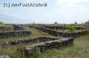 [P20] Cetatea Adamclisi, ziduri de locuinţe » foto by Michi
 - 
<span class="allrVoted glyphicon glyphicon-heart hidden" id="av1375865"></span>
<a class="m-l-10 hidden" id="sv1375865" onclick="voting_Foto_DelVot(,1375865,10662)" role="button">șterge vot <span class="glyphicon glyphicon-remove"></span></a>
<a id="v91375865" class=" c-red"  onclick="voting_Foto_SetVot(1375865)" role="button"><span class="glyphicon glyphicon-heart-empty"></span> <b>LIKE</b> = Votează poza</a> <img class="hidden"  id="f1375865W9" src="/imagini/loader.gif" border="0" /><span class="AjErrMes hidden" id="e1375865ErM"></span>