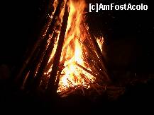 [P28]  -- <small>// FĂRĂ DESCRIERE</small> » foto by RUSTICCO
 - 
<span class="allrVoted glyphicon glyphicon-heart hidden" id="av279551"></span>
<a class="m-l-10 hidden" id="sv279551" onclick="voting_Foto_DelVot(,279551,10674)" role="button">șterge vot <span class="glyphicon glyphicon-remove"></span></a>
<a id="v9279551" class=" c-red"  onclick="voting_Foto_SetVot(279551)" role="button"><span class="glyphicon glyphicon-heart-empty"></span> <b>LIKE</b> = Votează poza</a> <img class="hidden"  id="f279551W9" src="/imagini/loader.gif" border="0" /><span class="AjErrMes hidden" id="e279551ErM"></span>