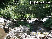 [P10] Fotografie făcută în Cheile Cheiţei, o zonă super din apropierea localităţii Cheia. » foto by bose
 - 
<span class="allrVoted glyphicon glyphicon-heart hidden" id="av279743"></span>
<a class="m-l-10 hidden" id="sv279743" onclick="voting_Foto_DelVot(,279743,10678)" role="button">șterge vot <span class="glyphicon glyphicon-remove"></span></a>
<a id="v9279743" class=" c-red"  onclick="voting_Foto_SetVot(279743)" role="button"><span class="glyphicon glyphicon-heart-empty"></span> <b>LIKE</b> = Votează poza</a> <img class="hidden"  id="f279743W9" src="/imagini/loader.gif" border="0" /><span class="AjErrMes hidden" id="e279743ErM"></span>