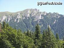 [P20] Creasta Zăganu-Gropşoarele, o privelişte minunată. » foto by bose
 - 
<span class="allrVoted glyphicon glyphicon-heart hidden" id="av279764"></span>
<a class="m-l-10 hidden" id="sv279764" onclick="voting_Foto_DelVot(,279764,10678)" role="button">șterge vot <span class="glyphicon glyphicon-remove"></span></a>
<a id="v9279764" class=" c-red"  onclick="voting_Foto_SetVot(279764)" role="button"><span class="glyphicon glyphicon-heart-empty"></span> <b>LIKE</b> = Votează poza</a> <img class="hidden"  id="f279764W9" src="/imagini/loader.gif" border="0" /><span class="AjErrMes hidden" id="e279764ErM"></span>