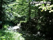 [P23] Prin pădure pe Valea Berii, în Munţii Ciucaş, nu departe de localitatea Cheia. » foto by bose
 - 
<span class="allrVoted glyphicon glyphicon-heart hidden" id="av279772"></span>
<a class="m-l-10 hidden" id="sv279772" onclick="voting_Foto_DelVot(,279772,10678)" role="button">șterge vot <span class="glyphicon glyphicon-remove"></span></a>
<a id="v9279772" class=" c-red"  onclick="voting_Foto_SetVot(279772)" role="button"><span class="glyphicon glyphicon-heart-empty"></span> <b>LIKE</b> = Votează poza</a> <img class="hidden"  id="f279772W9" src="/imagini/loader.gif" border="0" /><span class="AjErrMes hidden" id="e279772ErM"></span>