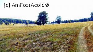 [P24] Orășelul de corturi situat în zona ramei dintre craterele Mohoș și Sfânta Ana. Imagine luată dinspre tinovul Mohoș.  » foto by Lucien
 - 
<span class="allrVoted glyphicon glyphicon-heart hidden" id="av803189"></span>
<a class="m-l-10 hidden" id="sv803189" onclick="voting_Foto_DelVot(,803189,10680)" role="button">șterge vot <span class="glyphicon glyphicon-remove"></span></a>
<a id="v9803189" class=" c-red"  onclick="voting_Foto_SetVot(803189)" role="button"><span class="glyphicon glyphicon-heart-empty"></span> <b>LIKE</b> = Votează poza</a> <img class="hidden"  id="f803189W9" src="/imagini/loader.gif" border="0" /><span class="AjErrMes hidden" id="e803189ErM"></span>