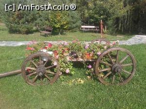 [P10] Mânăstirea Icoana - carul cu flori » foto by costy69*
 - 
<span class="allrVoted glyphicon glyphicon-heart hidden" id="av710057"></span>
<a class="m-l-10 hidden" id="sv710057" onclick="voting_Foto_DelVot(,710057,10687)" role="button">șterge vot <span class="glyphicon glyphicon-remove"></span></a>
<a id="v9710057" class=" c-red"  onclick="voting_Foto_SetVot(710057)" role="button"><span class="glyphicon glyphicon-heart-empty"></span> <b>LIKE</b> = Votează poza</a> <img class="hidden"  id="f710057W9" src="/imagini/loader.gif" border="0" /><span class="AjErrMes hidden" id="e710057ErM"></span>