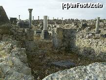 [P31] Volubilis - Vestigii romane. » foto by iulianic
 - 
<span class="allrVoted glyphicon glyphicon-heart hidden" id="av280661"></span>
<a class="m-l-10 hidden" id="sv280661" onclick="voting_Foto_DelVot(,280661,10692)" role="button">șterge vot <span class="glyphicon glyphicon-remove"></span></a>
<a id="v9280661" class=" c-red"  onclick="voting_Foto_SetVot(280661)" role="button"><span class="glyphicon glyphicon-heart-empty"></span> <b>LIKE</b> = Votează poza</a> <img class="hidden"  id="f280661W9" src="/imagini/loader.gif" border="0" /><span class="AjErrMes hidden" id="e280661ErM"></span>