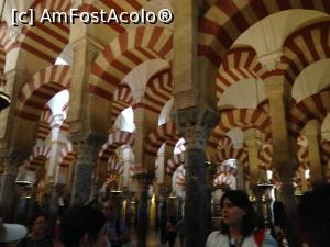 [P19] Frumoasele coloane ale Catedralei-moschee, Mosquita din Cordoma.  » foto by rora
 - 
<span class="allrVoted glyphicon glyphicon-heart hidden" id="av922379"></span>
<a class="m-l-10 hidden" id="sv922379" onclick="voting_Foto_DelVot(,922379,10692)" role="button">șterge vot <span class="glyphicon glyphicon-remove"></span></a>
<a id="v9922379" class=" c-red"  onclick="voting_Foto_SetVot(922379)" role="button"><span class="glyphicon glyphicon-heart-empty"></span> <b>LIKE</b> = Votează poza</a> <img class="hidden"  id="f922379W9" src="/imagini/loader.gif" border="0" /><span class="AjErrMes hidden" id="e922379ErM"></span>