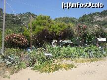 [P43] Plaja Pelekas » foto by georgiana
 - 
<span class="allrVoted glyphicon glyphicon-heart hidden" id="av280717"></span>
<a class="m-l-10 hidden" id="sv280717" onclick="voting_Foto_DelVot(,280717,10695)" role="button">șterge vot <span class="glyphicon glyphicon-remove"></span></a>
<a id="v9280717" class=" c-red"  onclick="voting_Foto_SetVot(280717)" role="button"><span class="glyphicon glyphicon-heart-empty"></span> <b>LIKE</b> = Votează poza</a> <img class="hidden"  id="f280717W9" src="/imagini/loader.gif" border="0" /><span class="AjErrMes hidden" id="e280717ErM"></span>