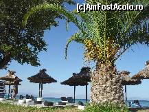 [P85] Moraitica » foto by georgiana
 - 
<span class="allrVoted glyphicon glyphicon-heart hidden" id="av280791"></span>
<a class="m-l-10 hidden" id="sv280791" onclick="voting_Foto_DelVot(,280791,10695)" role="button">șterge vot <span class="glyphicon glyphicon-remove"></span></a>
<a id="v9280791" class=" c-red"  onclick="voting_Foto_SetVot(280791)" role="button"><span class="glyphicon glyphicon-heart-empty"></span> <b>LIKE</b> = Votează poza</a> <img class="hidden"  id="f280791W9" src="/imagini/loader.gif" border="0" /><span class="AjErrMes hidden" id="e280791ErM"></span>