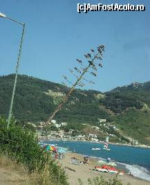 [P93] Agios Georgios - Pagi » foto by georgiana
 - 
<span class="allrVoted glyphicon glyphicon-heart hidden" id="av280799"></span>
<a class="m-l-10 hidden" id="sv280799" onclick="voting_Foto_DelVot(,280799,10695)" role="button">șterge vot <span class="glyphicon glyphicon-remove"></span></a>
<a id="v9280799" class=" c-red"  onclick="voting_Foto_SetVot(280799)" role="button"><span class="glyphicon glyphicon-heart-empty"></span> <b>LIKE</b> = Votează poza</a> <img class="hidden"  id="f280799W9" src="/imagini/loader.gif" border="0" /><span class="AjErrMes hidden" id="e280799ErM"></span>