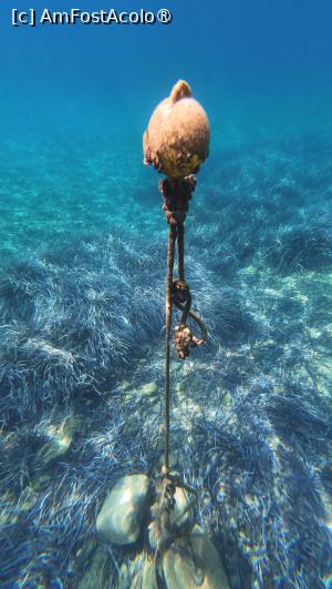 [P09] Nissaki beach - peisaje submarine » foto by Dragoș_MD
 - 
<span class="allrVoted glyphicon glyphicon-heart hidden" id="av1502366"></span>
<a class="m-l-10 hidden" id="sv1502366" onclick="voting_Foto_DelVot(,1502366,10695)" role="button">șterge vot <span class="glyphicon glyphicon-remove"></span></a>
<a id="v91502366" class=" c-red"  onclick="voting_Foto_SetVot(1502366)" role="button"><span class="glyphicon glyphicon-heart-empty"></span> <b>LIKE</b> = Votează poza</a> <img class="hidden"  id="f1502366W9" src="/imagini/loader.gif" border="0" /><span class="AjErrMes hidden" id="e1502366ErM"></span>