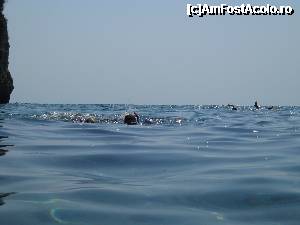 [P07] Snorkeling la Agios Gordis » foto by mflorea
 - 
<span class="allrVoted glyphicon glyphicon-heart hidden" id="av345220"></span>
<a class="m-l-10 hidden" id="sv345220" onclick="voting_Foto_DelVot(,345220,10695)" role="button">șterge vot <span class="glyphicon glyphicon-remove"></span></a>
<a id="v9345220" class=" c-red"  onclick="voting_Foto_SetVot(345220)" role="button"><span class="glyphicon glyphicon-heart-empty"></span> <b>LIKE</b> = Votează poza</a> <img class="hidden"  id="f345220W9" src="/imagini/loader.gif" border="0" /><span class="AjErrMes hidden" id="e345220ErM"></span>