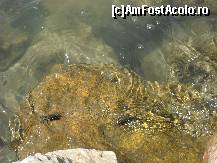 [P23] :) » foto by georgiana
 - 
<span class="allrVoted glyphicon glyphicon-heart hidden" id="av300729"></span>
<a class="m-l-10 hidden" id="sv300729" onclick="voting_Foto_DelVot(,300729,10697)" role="button">șterge vot <span class="glyphicon glyphicon-remove"></span></a>
<a id="v9300729" class=" c-red"  onclick="voting_Foto_SetVot(300729)" role="button"><span class="glyphicon glyphicon-heart-empty"></span> <b>LIKE</b> = Votează poza</a> <img class="hidden"  id="f300729W9" src="/imagini/loader.gif" border="0" /><span class="AjErrMes hidden" id="e300729ErM"></span>