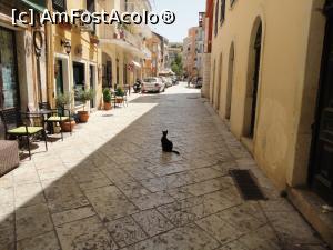 [P59] Mavros Gatos-pisica neagră în orașul vechi...miau...în dreapta este un muzeu deosebit, Casa Parlante. » foto by maryka
 - 
<span class="allrVoted glyphicon glyphicon-heart hidden" id="av1279171"></span>
<a class="m-l-10 hidden" id="sv1279171" onclick="voting_Foto_DelVot(,1279171,10697)" role="button">șterge vot <span class="glyphicon glyphicon-remove"></span></a>
<a id="v91279171" class=" c-red"  onclick="voting_Foto_SetVot(1279171)" role="button"><span class="glyphicon glyphicon-heart-empty"></span> <b>LIKE</b> = Votează poza</a> <img class="hidden"  id="f1279171W9" src="/imagini/loader.gif" border="0" /><span class="AjErrMes hidden" id="e1279171ErM"></span>