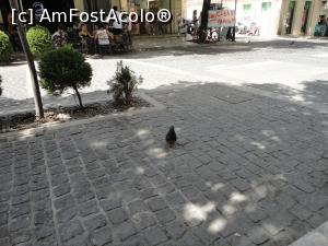 [P47] Strada Theotoki, umbră! Îmi dai și mie ceva? Orașul nou. » foto by maryka
 - 
<span class="allrVoted glyphicon glyphicon-heart hidden" id="av1279892"></span>
<a class="m-l-10 hidden" id="sv1279892" onclick="voting_Foto_DelVot(,1279892,10697)" role="button">șterge vot <span class="glyphicon glyphicon-remove"></span></a>
<a id="v91279892" class=" c-red"  onclick="voting_Foto_SetVot(1279892)" role="button"><span class="glyphicon glyphicon-heart-empty"></span> <b>LIKE</b> = Votează poza</a> <img class="hidden"  id="f1279892W9" src="/imagini/loader.gif" border="0" /><span class="AjErrMes hidden" id="e1279892ErM"></span>