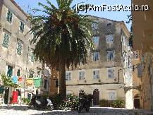 [P03] Locuri tacute linistite, rufe la uscat si palmieri » foto by Cristian_h
 - 
<span class="allrVoted glyphicon glyphicon-heart hidden" id="av101955"></span>
<a class="m-l-10 hidden" id="sv101955" onclick="voting_Foto_DelVot(,101955,10697)" role="button">șterge vot <span class="glyphicon glyphicon-remove"></span></a>
<a id="v9101955" class=" c-red"  onclick="voting_Foto_SetVot(101955)" role="button"><span class="glyphicon glyphicon-heart-empty"></span> <b>LIKE</b> = Votează poza</a> <img class="hidden"  id="f101955W9" src="/imagini/loader.gif" border="0" /><span class="AjErrMes hidden" id="e101955ErM"></span>