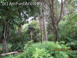 [P36] Cautam buclucasul izvor.  » foto by elviramvio
 - 
<span class="allrVoted glyphicon glyphicon-heart hidden" id="av803140"></span>
<a class="m-l-10 hidden" id="sv803140" onclick="voting_Foto_DelVot(,803140,10697)" role="button">șterge vot <span class="glyphicon glyphicon-remove"></span></a>
<a id="v9803140" class=" c-red"  onclick="voting_Foto_SetVot(803140)" role="button"><span class="glyphicon glyphicon-heart-empty"></span> <b>LIKE</b> = Votează poza</a> <img class="hidden"  id="f803140W9" src="/imagini/loader.gif" border="0" /><span class="AjErrMes hidden" id="e803140ErM"></span>