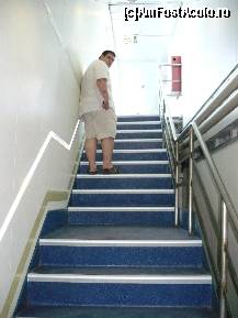 [P02] Ferry - urcare din zona de parcare a masinilor catre puntea de sus » foto by deliutza27
 - 
<span class="allrVoted glyphicon glyphicon-heart hidden" id="av189447"></span>
<a class="m-l-10 hidden" id="sv189447" onclick="voting_Foto_DelVot(,189447,10699)" role="button">șterge vot <span class="glyphicon glyphicon-remove"></span></a>
<a id="v9189447" class=" c-red"  onclick="voting_Foto_SetVot(189447)" role="button"><span class="glyphicon glyphicon-heart-empty"></span> <b>LIKE</b> = Votează poza</a> <img class="hidden"  id="f189447W9" src="/imagini/loader.gif" border="0" /><span class="AjErrMes hidden" id="e189447ErM"></span>