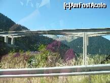 [P19] aceeasi autostrada, trecand deasupra noastra » foto by deliutza27
 - 
<span class="allrVoted glyphicon glyphicon-heart hidden" id="av189559"></span>
<a class="m-l-10 hidden" id="sv189559" onclick="voting_Foto_DelVot(,189559,10699)" role="button">șterge vot <span class="glyphicon glyphicon-remove"></span></a>
<a id="v9189559" class=" c-red"  onclick="voting_Foto_SetVot(189559)" role="button"><span class="glyphicon glyphicon-heart-empty"></span> <b>LIKE</b> = Votează poza</a> <img class="hidden"  id="f189559W9" src="/imagini/loader.gif" border="0" /><span class="AjErrMes hidden" id="e189559ErM"></span>