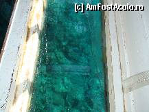 [P11] Coralii vazuti din vaporasul cu fundul de sticla. » foto by Muffin2009*
 - 
<span class="allrVoted glyphicon glyphicon-heart hidden" id="av281070"></span>
<a class="m-l-10 hidden" id="sv281070" onclick="voting_Foto_DelVot(,281070,10703)" role="button">șterge vot <span class="glyphicon glyphicon-remove"></span></a>
<a id="v9281070" class=" c-red"  onclick="voting_Foto_SetVot(281070)" role="button"><span class="glyphicon glyphicon-heart-empty"></span> <b>LIKE</b> = Votează poza</a> <img class="hidden"  id="f281070W9" src="/imagini/loader.gif" border="0" /><span class="AjErrMes hidden" id="e281070ErM"></span>