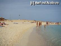 [P19] Insula Giftun » foto by Muffin2009*
 - 
<span class="allrVoted glyphicon glyphicon-heart hidden" id="av281078"></span>
<a class="m-l-10 hidden" id="sv281078" onclick="voting_Foto_DelVot(,281078,10703)" role="button">șterge vot <span class="glyphicon glyphicon-remove"></span></a>
<a id="v9281078" class=" c-red"  onclick="voting_Foto_SetVot(281078)" role="button"><span class="glyphicon glyphicon-heart-empty"></span> <b>LIKE</b> = Votează poza</a> <img class="hidden"  id="f281078W9" src="/imagini/loader.gif" border="0" /><span class="AjErrMes hidden" id="e281078ErM"></span>