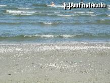 [P06]  -- <small>// FĂRĂ DESCRIERE</small> » foto by ilie_r
 - 
<span class="allrVoted glyphicon glyphicon-heart hidden" id="av281778"></span>
<a class="m-l-10 hidden" id="sv281778" onclick="voting_Foto_DelVot(,281778,10712)" role="button">șterge vot <span class="glyphicon glyphicon-remove"></span></a>
<a id="v9281778" class=" c-red"  onclick="voting_Foto_SetVot(281778)" role="button"><span class="glyphicon glyphicon-heart-empty"></span> <b>LIKE</b> = Votează poza</a> <img class="hidden"  id="f281778W9" src="/imagini/loader.gif" border="0" /><span class="AjErrMes hidden" id="e281778ErM"></span>