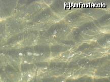 [P08]  -- <small>// FĂRĂ DESCRIERE</small> » foto by ilie_r
 - 
<span class="allrVoted glyphicon glyphicon-heart hidden" id="av281780"></span>
<a class="m-l-10 hidden" id="sv281780" onclick="voting_Foto_DelVot(,281780,10712)" role="button">șterge vot <span class="glyphicon glyphicon-remove"></span></a>
<a id="v9281780" class=" c-red"  onclick="voting_Foto_SetVot(281780)" role="button"><span class="glyphicon glyphicon-heart-empty"></span> <b>LIKE</b> = Votează poza</a> <img class="hidden"  id="f281780W9" src="/imagini/loader.gif" border="0" /><span class="AjErrMes hidden" id="e281780ErM"></span>