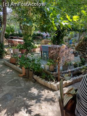 [P11] pe drumul catre Marmaris- cafeluta la umbra » foto by michaela_1961
 - 
<span class="allrVoted glyphicon glyphicon-heart hidden" id="av1313073"></span>
<a class="m-l-10 hidden" id="sv1313073" onclick="voting_Foto_DelVot(,1313073,10714)" role="button">șterge vot <span class="glyphicon glyphicon-remove"></span></a>
<a id="v91313073" class=" c-red"  onclick="voting_Foto_SetVot(1313073)" role="button"><span class="glyphicon glyphicon-heart-empty"></span> <b>LIKE</b> = Votează poza</a> <img class="hidden"  id="f1313073W9" src="/imagini/loader.gif" border="0" /><span class="AjErrMes hidden" id="e1313073ErM"></span>