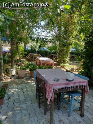 [P13] pe drumul catre Marmaris- cafeluta la umbra » foto by michaela_1961
 - 
<span class="allrVoted glyphicon glyphicon-heart hidden" id="av1313075"></span>
<a class="m-l-10 hidden" id="sv1313075" onclick="voting_Foto_DelVot(,1313075,10714)" role="button">șterge vot <span class="glyphicon glyphicon-remove"></span></a>
<a id="v91313075" class=" c-red"  onclick="voting_Foto_SetVot(1313075)" role="button"><span class="glyphicon glyphicon-heart-empty"></span> <b>LIKE</b> = Votează poza</a> <img class="hidden"  id="f1313075W9" src="/imagini/loader.gif" border="0" /><span class="AjErrMes hidden" id="e1313075ErM"></span>