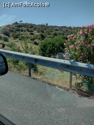 [P14] drumul catre Marmaris » foto by michaela_1961
 - 
<span class="allrVoted glyphicon glyphicon-heart hidden" id="av1313076"></span>
<a class="m-l-10 hidden" id="sv1313076" onclick="voting_Foto_DelVot(,1313076,10714)" role="button">șterge vot <span class="glyphicon glyphicon-remove"></span></a>
<a id="v91313076" class=" c-red"  onclick="voting_Foto_SetVot(1313076)" role="button"><span class="glyphicon glyphicon-heart-empty"></span> <b>LIKE</b> = Votează poza</a> <img class="hidden"  id="f1313076W9" src="/imagini/loader.gif" border="0" /><span class="AjErrMes hidden" id="e1313076ErM"></span>
