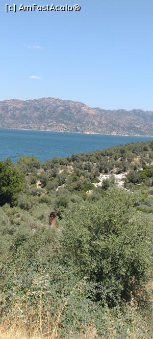[P29] drumul catre Bodrum » foto by michaela_1961
 - 
<span class="allrVoted glyphicon glyphicon-heart hidden" id="av1313156"></span>
<a class="m-l-10 hidden" id="sv1313156" onclick="voting_Foto_DelVot(,1313156,10714)" role="button">șterge vot <span class="glyphicon glyphicon-remove"></span></a>
<a id="v91313156" class=" c-red"  onclick="voting_Foto_SetVot(1313156)" role="button"><span class="glyphicon glyphicon-heart-empty"></span> <b>LIKE</b> = Votează poza</a> <img class="hidden"  id="f1313156W9" src="/imagini/loader.gif" border="0" /><span class="AjErrMes hidden" id="e1313156ErM"></span>
