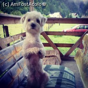[P07]  -- <small>// FĂRĂ DESCRIERE</small> » foto by anca_petre
 - 
<span class="allrVoted glyphicon glyphicon-heart hidden" id="av872023"></span>
<a class="m-l-10 hidden" id="sv872023" onclick="voting_Foto_DelVot(,872023,10733)" role="button">șterge vot <span class="glyphicon glyphicon-remove"></span></a>
<a id="v9872023" class=" c-red"  onclick="voting_Foto_SetVot(872023)" role="button"><span class="glyphicon glyphicon-heart-empty"></span> <b>LIKE</b> = Votează poza</a> <img class="hidden"  id="f872023W9" src="/imagini/loader.gif" border="0" /><span class="AjErrMes hidden" id="e872023ErM"></span>