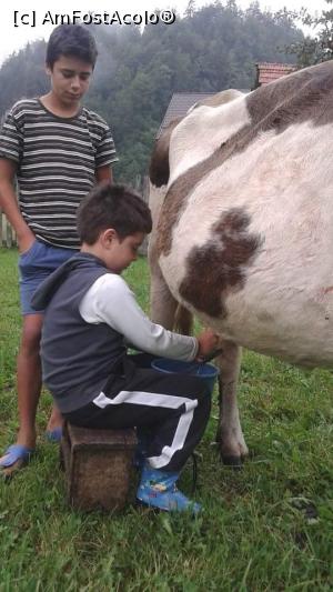 [P08]  -- <small>// FĂRĂ DESCRIERE</small> » foto by anca_petre
 - 
<span class="allrVoted glyphicon glyphicon-heart hidden" id="av872025"></span>
<a class="m-l-10 hidden" id="sv872025" onclick="voting_Foto_DelVot(,872025,10733)" role="button">șterge vot <span class="glyphicon glyphicon-remove"></span></a>
<a id="v9872025" class=" c-red"  onclick="voting_Foto_SetVot(872025)" role="button"><span class="glyphicon glyphicon-heart-empty"></span> <b>LIKE</b> = Votează poza</a> <img class="hidden"  id="f872025W9" src="/imagini/loader.gif" border="0" /><span class="AjErrMes hidden" id="e872025ErM"></span>