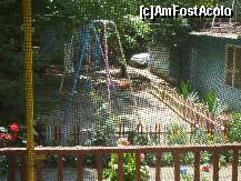 [P02]  -- <small>// FĂRĂ DESCRIERE</small> » foto by RUSTICCO
 - 
<span class="allrVoted glyphicon glyphicon-heart hidden" id="av283555"></span>
<a class="m-l-10 hidden" id="sv283555" onclick="voting_Foto_DelVot(,283555,10740)" role="button">șterge vot <span class="glyphicon glyphicon-remove"></span></a>
<a id="v9283555" class=" c-red"  onclick="voting_Foto_SetVot(283555)" role="button"><span class="glyphicon glyphicon-heart-empty"></span> <b>LIKE</b> = Votează poza</a> <img class="hidden"  id="f283555W9" src="/imagini/loader.gif" border="0" /><span class="AjErrMes hidden" id="e283555ErM"></span>