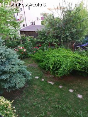 [P10] Prin curte » foto by MaraMura
 - 
<span class="allrVoted glyphicon glyphicon-heart hidden" id="av1309054"></span>
<a class="m-l-10 hidden" id="sv1309054" onclick="voting_Foto_DelVot(,1309054,10757)" role="button">șterge vot <span class="glyphicon glyphicon-remove"></span></a>
<a id="v91309054" class=" c-red"  onclick="voting_Foto_SetVot(1309054)" role="button"><span class="glyphicon glyphicon-heart-empty"></span> <b>LIKE</b> = Votează poza</a> <img class="hidden"  id="f1309054W9" src="/imagini/loader.gif" border="0" /><span class="AjErrMes hidden" id="e1309054ErM"></span>