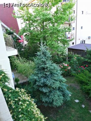 [P11] Vedere de la balcon, in curte » foto by MaraMura
 - 
<span class="allrVoted glyphicon glyphicon-heart hidden" id="av1309055"></span>
<a class="m-l-10 hidden" id="sv1309055" onclick="voting_Foto_DelVot(,1309055,10757)" role="button">șterge vot <span class="glyphicon glyphicon-remove"></span></a>
<a id="v91309055" class=" c-red"  onclick="voting_Foto_SetVot(1309055)" role="button"><span class="glyphicon glyphicon-heart-empty"></span> <b>LIKE</b> = Votează poza</a> <img class="hidden"  id="f1309055W9" src="/imagini/loader.gif" border="0" /><span class="AjErrMes hidden" id="e1309055ErM"></span>