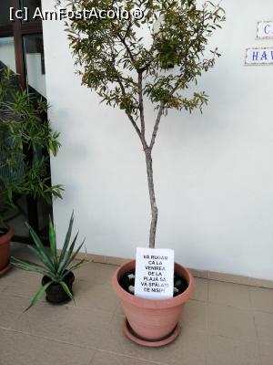 [P25] Un mesaj catre cei care vin de la plaja, sa fim civilizati » foto by MaraMura
 - 
<span class="allrVoted glyphicon glyphicon-heart hidden" id="av1309069"></span>
<a class="m-l-10 hidden" id="sv1309069" onclick="voting_Foto_DelVot(,1309069,10757)" role="button">șterge vot <span class="glyphicon glyphicon-remove"></span></a>
<a id="v91309069" class=" c-red"  onclick="voting_Foto_SetVot(1309069)" role="button"><span class="glyphicon glyphicon-heart-empty"></span> <b>LIKE</b> = Votează poza</a> <img class="hidden"  id="f1309069W9" src="/imagini/loader.gif" border="0" /><span class="AjErrMes hidden" id="e1309069ErM"></span>