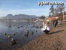 [P02] Pe malul lacului Titisee. » foto by ghidioneanu
 - 
<span class="allrVoted glyphicon glyphicon-heart hidden" id="av285580"></span>
<a class="m-l-10 hidden" id="sv285580" onclick="voting_Foto_DelVot(,285580,10776)" role="button">șterge vot <span class="glyphicon glyphicon-remove"></span></a>
<a id="v9285580" class=" c-red"  onclick="voting_Foto_SetVot(285580)" role="button"><span class="glyphicon glyphicon-heart-empty"></span> <b>LIKE</b> = Votează poza</a> <img class="hidden"  id="f285580W9" src="/imagini/loader.gif" border="0" /><span class="AjErrMes hidden" id="e285580ErM"></span>